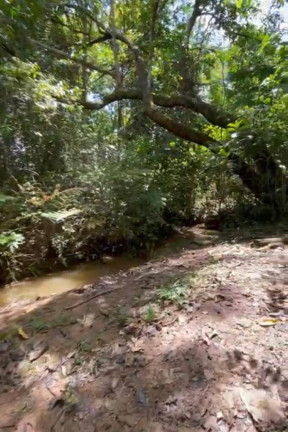 Imagem Fazenda à Venda, 24 m² em Centro - Luziânia