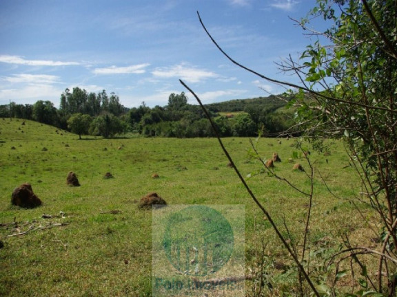 Imagem Imóvel com 3 Quartos à Venda, 220.000 m² em Zona Rural - Jacui