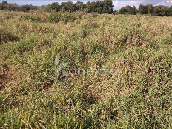 Imagem Chácara com 1 Quarto à Venda, 300 m² em Bairro Marambaia - Caçapava Imagem Chácara com 1 Quarto à Venda, 300 m² em Bairro Marambaia - Caçapava