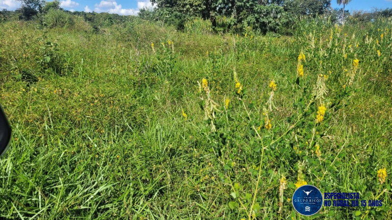 Imagem Chácara à Venda, 15 m² em Zona Rural - Palmeiras De Goiás Imagem Chácara à Venda, 15 m² em Zona Rural - Palmeiras De Goiás