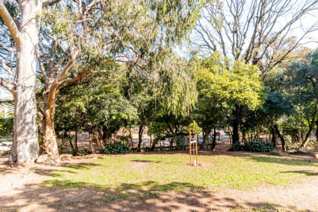 Imagem Imóvel com 4 Quartos à Venda, 74 m² em Petrópolis - Porto Alegre Imagem Imóvel com 4 Quartos à Venda, 74 m² em Petrópolis - Porto Alegre