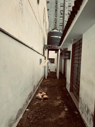 Imagem Imóvel com 5 Quartos à Venda, 264 m² em Cambuí - Campinas Imagem Imóvel com 5 Quartos à Venda, 264 m² em Cambuí - Campinas