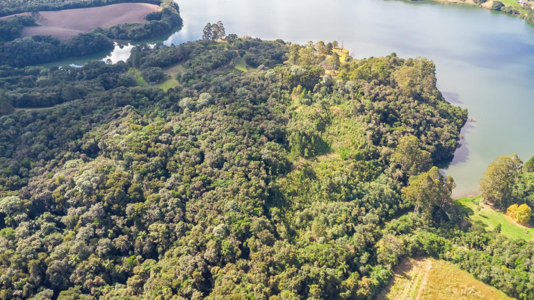Imagem Imóvel com 3 Quartos à Venda, 31.671 m² em Ferraria / Bolinete - Campo Largo