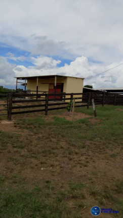 Imagem Chácara à Venda, 5 m² em Zona Rural - Mairipotaba Imagem Chácara à Venda, 5 m² em Zona Rural - Mairipotaba