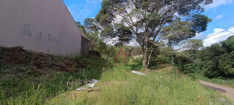 Imagem Terreno à Venda, em Morro Alto - Guarapuava Imagem Terreno à Venda, em Morro Alto - Guarapuava