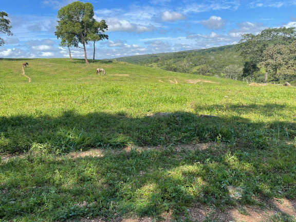 Imagem Chácara à Venda, 12 m² em Zona Rural - Vianópolis Imagem Chácara à Venda, 12 m² em Zona Rural - Vianópolis
