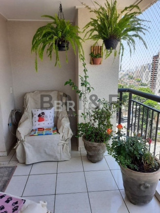 Imagem Apartamento com 3 Quartos à Venda, 80 m² em Vila Mascote - São Paulo Imagem Apartamento com 3 Quartos à Venda, 80 m² em Vila Mascote - São Paulo