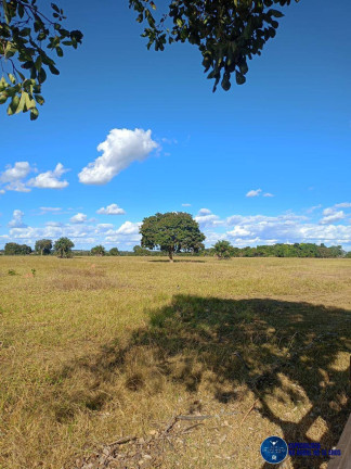 Imagem Fazenda à Venda, 450 m² em Zona Rural - Novo Mundo Imagem Fazenda à Venda, 450 m² em Zona Rural - Novo Mundo
