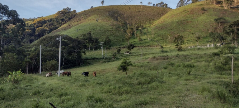 Imagem Chácara com 2 Quartos à Venda, 100 m² em Centro - Natividade Da Serra Imagem Chácara com 2 Quartos à Venda, 100 m² em Centro - Natividade Da Serra