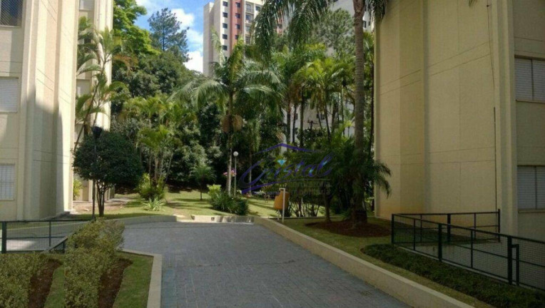 Imagem Apartamento com 3 Quartos à Venda, 68 m² em Butantã - São Paulo Imagem Apartamento com 3 Quartos à Venda, 68 m² em Butantã - São Paulo