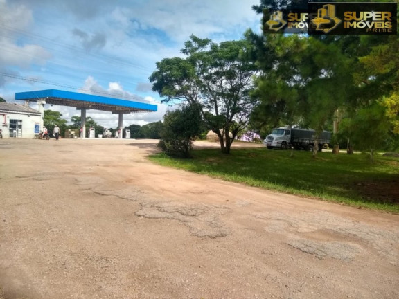 Imagem Imóvel com 8 Quartos à Venda, 60.000 m² em Centro - Canguçu