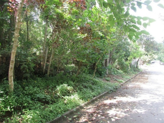 Imagem Terreno em Condomínio à Venda, 500 m² em Paisagem Renoir - Cotia Imagem Terreno em Condomínio à Venda, 500 m² em Paisagem Renoir - Cotia
