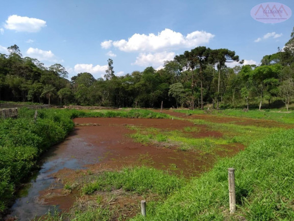 Casa com 3 Quartos à Venda, 150.000 m² em Taiaçupeba - Mogi Das Cruzes