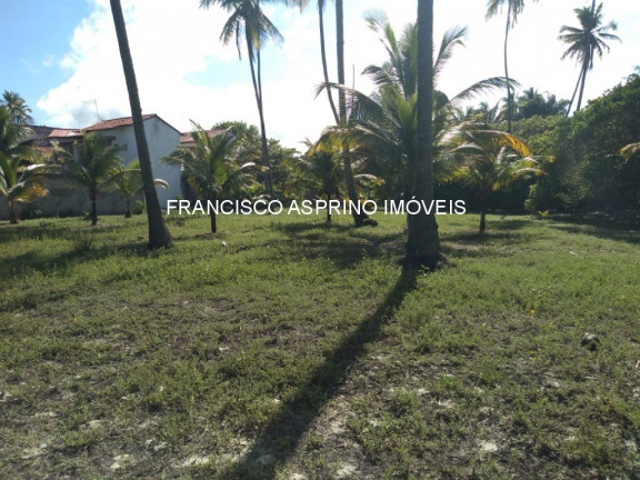 Imagem Imóvel à Venda, 8.000 m² em Mamoã - Ilhéus Imagem Imóvel à Venda, 8.000 m² em Mamoã - Ilhéus