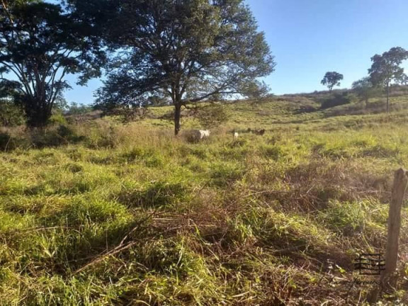 Imagem Fazenda à Venda, 550 m² em área Rural - Buenópolis Imagem Fazenda à Venda, 550 m² em área Rural - Buenópolis