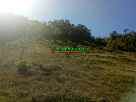 Imagem Chácara à Venda, 11 m² em Centro - Piquete Imagem Chácara à Venda, 11 m² em Centro - Piquete