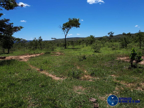 Imagem Fazenda à Venda, 77 m² em Zona Rural - Flores De Goiás Imagem Fazenda à Venda, 77 m² em Zona Rural - Flores De Goiás