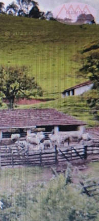 Imagem Imóvel com 15 Quartos à Venda, 100 m² em Santa Branca_vale Paraíba - Santa Branca