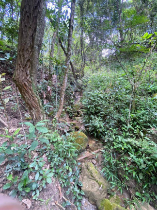 Imagem Terreno à Venda, 3 m² em Santa Terezinha De Minas - Itatiaiuçu Imagem Terreno à Venda, 3 m² em Santa Terezinha De Minas - Itatiaiuçu