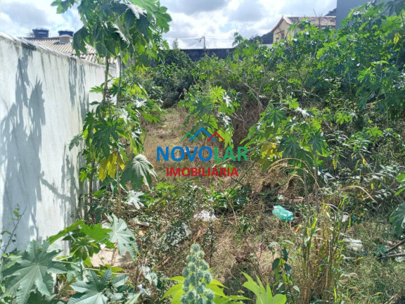 Imagem Terreno à Venda, 360 m² em Campo Redondo - São Pedro Da Aldeia Imagem Terreno à Venda, 360 m² em Campo Redondo - São Pedro Da Aldeia