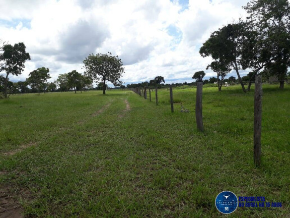 Imagem Fazenda à Venda, 1 m² em Zona Rural - Araguaiana Imagem Fazenda à Venda, 1 m² em Zona Rural - Araguaiana
