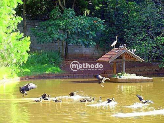 Imagem Terreno à Venda, 2.192 m² em Barão Geraldo - Campinas Imagem Terreno à Venda, 2.192 m² em Barão Geraldo - Campinas