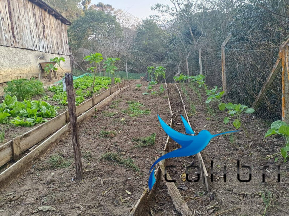 Imagem Chácara com 2 Quartos à Venda, 6.890 m² em Pavãozinho - Agudos Do Sul Imagem Chácara com 2 Quartos à Venda, 6.890 m² em Pavãozinho - Agudos Do Sul