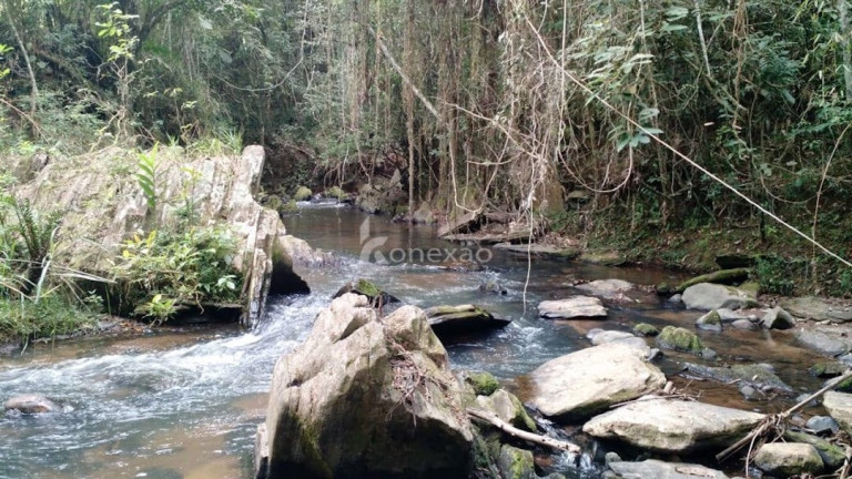 Imagem Fazenda à Venda, 500 m² em Pernambucana - Paraibuna Imagem Fazenda à Venda, 500 m² em Pernambucana - Paraibuna
