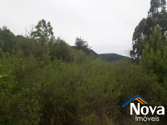 Imagem Imóvel à Venda, 10.211 m² em Linha Araripe - Nova Petrópolis Imagem Imóvel à Venda, 10.211 m² em Linha Araripe - Nova Petrópolis
