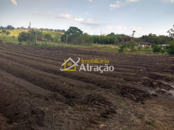 Imagem Imóvel com 2 Quartos à Venda, 33.000 m² em Ipelândia - Suzano Imagem Imóvel com 2 Quartos à Venda, 33.000 m² em Ipelândia - Suzano