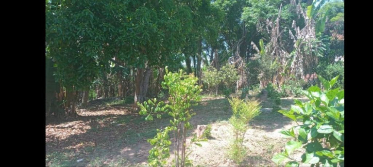 Imagem Imóvel com 2 Quartos à Venda, 265 m² em Iara - Atibaia Imagem Imóvel com 2 Quartos à Venda, 265 m² em Iara - Atibaia