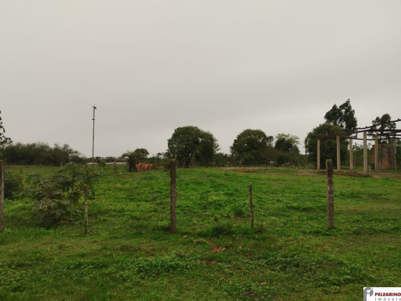 Imagem Terreno à Venda, 5.236 m² em Balneário Rebello - Tapes Imagem Terreno à Venda, 5.236 m² em Balneário Rebello - Tapes