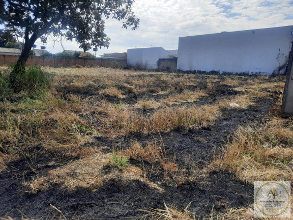 Imagem Imóvel à Venda, 1.220 m² em Independência - Aparecida De Goiânia