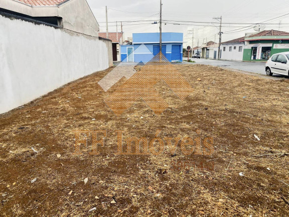 Imagem Terreno à Venda, 250 m² em Vila Jacobucci - São Carlos Imagem Terreno à Venda, 250 m² em Vila Jacobucci - São Carlos
