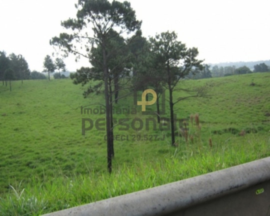 Imagem Imóvel à Venda, 50.000 m² em Brigadeiro Tobias - Sorocaba Imagem Imóvel à Venda, 50.000 m² em Brigadeiro Tobias - Sorocaba