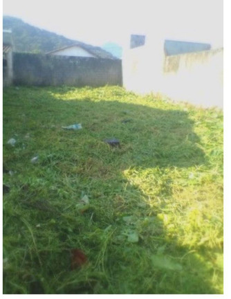 Imagem Terreno à Venda, 250 m² em Perequê Açu - Ubatuba