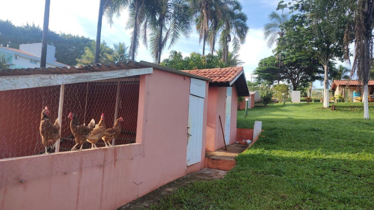 Imagem Imóvel com 5 Quartos à Venda, 7.000 m² em Centro - Uberlândia Imagem Imóvel com 5 Quartos à Venda, 7.000 m² em Centro - Uberlândia