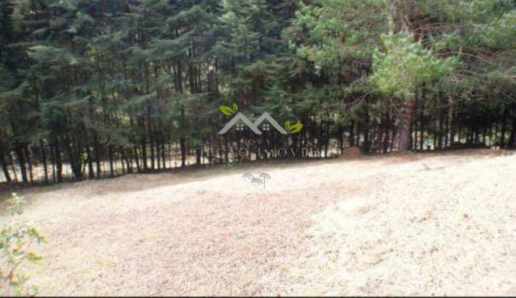 Imagem Terreno à Venda, 820 m² em Vila Capivari - Campos Do Jordão Imagem Terreno à Venda, 820 m² em Vila Capivari - Campos Do Jordão