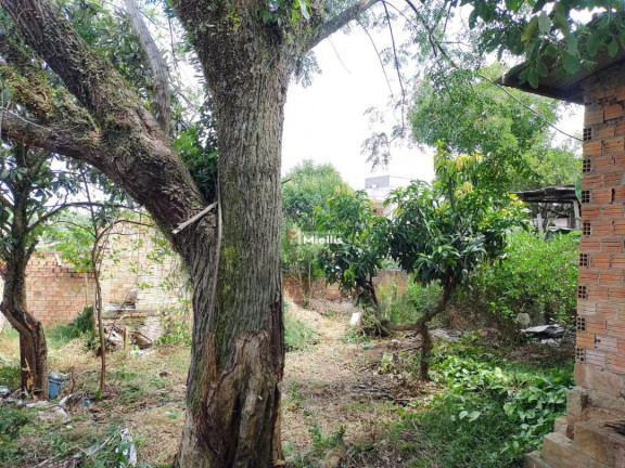 Imagem Casa com 2 Quartos à Venda, 20 m² em Tarumã - Viamão Imagem Casa com 2 Quartos à Venda, 20 m² em Tarumã - Viamão