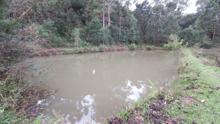 Imagem Chácara com 3 Quartos à Venda, 11 m² em Olaria - Bocaiúva Do Sul