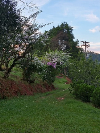 Imagem Chácara com 3 Quartos à Venda, 300 m² em Itapeva - Paraibuna Imagem Chácara com 3 Quartos à Venda, 300 m² em Itapeva - Paraibuna