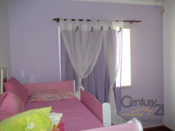 Imagem Apartamento com 2 Quartos à Venda, em Vila Amélia - São Paulo Imagem Apartamento com 2 Quartos à Venda, em Vila Amélia - São Paulo