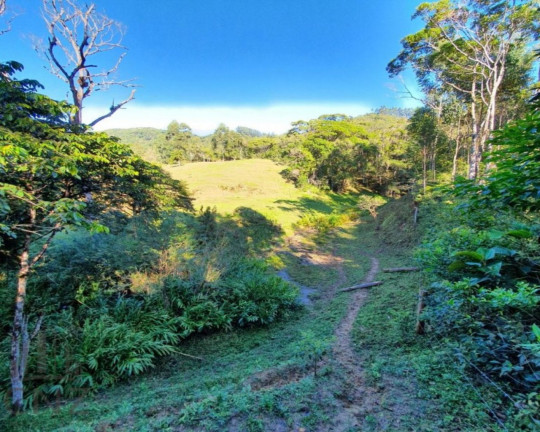Imagem Imóvel com 1 Quarto à Venda, 96.000 m² em Dom Joaquim - Brusque Imagem Imóvel com 1 Quarto à Venda, 96.000 m² em Dom Joaquim - Brusque
