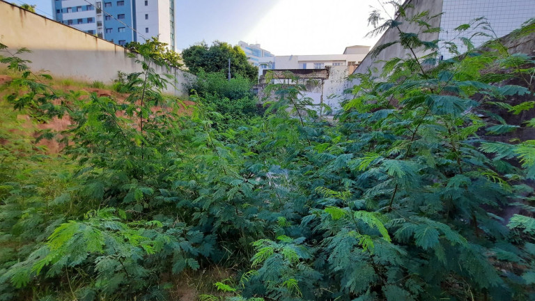 Imagem Terreno à Venda, 378 m² em Gutierrez - Belo Horizonte Imagem Terreno à Venda, 378 m² em Gutierrez - Belo Horizonte
