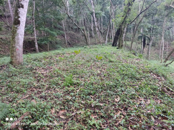 Imagem Terreno à Venda, 5 m² em Alpes Campos Do Jordão - Campos Do Jordão Imagem Terreno à Venda, 5 m² em Alpes Campos Do Jordão - Campos Do Jordão