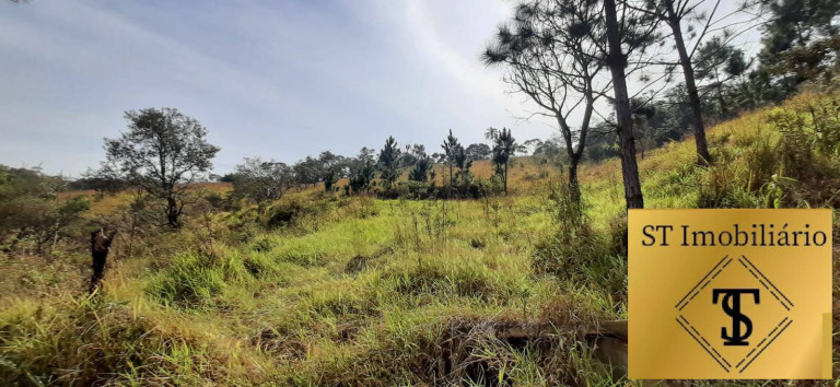 Imagem Chácara com 3 Quartos à Venda, 72.000 m² em Estância Santa Maria Do Portão - Atibaia
