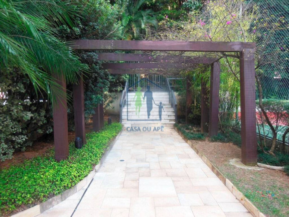 Imagem Apartamento com 3 Quartos à Venda, 100 m² em Vila Mascote - São Paulo Imagem Apartamento com 3 Quartos à Venda, 100 m² em Vila Mascote - São Paulo