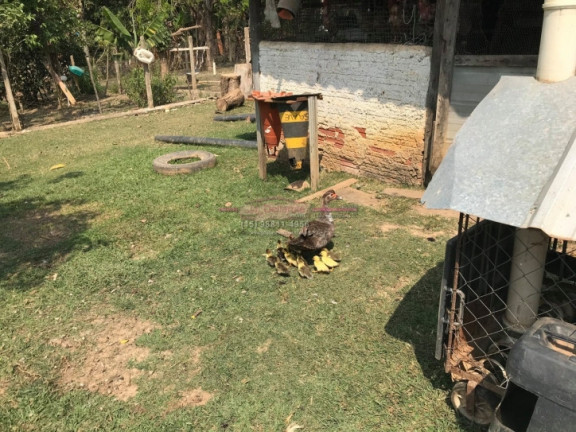 Imagem Terreno à Venda, 2 m² em Recanto Maravilha Ii - Boituva