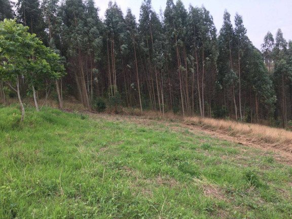 Imagem Chácara à Venda, 24.200 m² em Piedade Imagem Chácara à Venda, 24.200 m² em Piedade