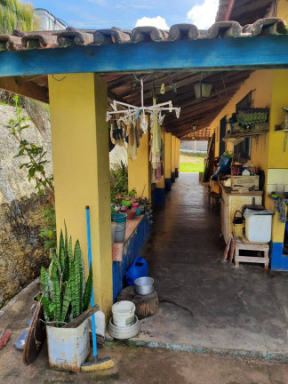 Imagem Chácara com 4 Quartos à Venda, 3 m² em Cachoeira Abaixo - Piracaia Imagem Chácara com 4 Quartos à Venda, 3 m² em Cachoeira Abaixo - Piracaia